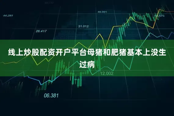 线上炒股配资开户平台母猪和肥猪基本上没生过病
