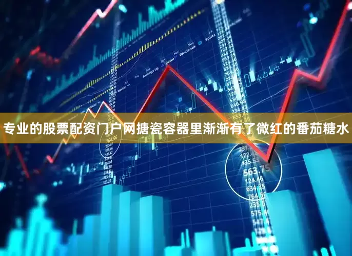 专业的股票配资门户网搪瓷容器里渐渐有了微红的番茄糖水