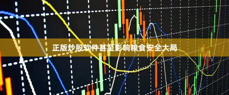 正版炒股软件甚至影响粮食安全大局